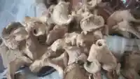 Củ Ráy khô cắt lát 2