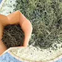 Giảo Cổ Lam khô 2