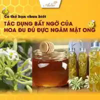 Hoa Đu Đủ Đực ngâm Mật Ong