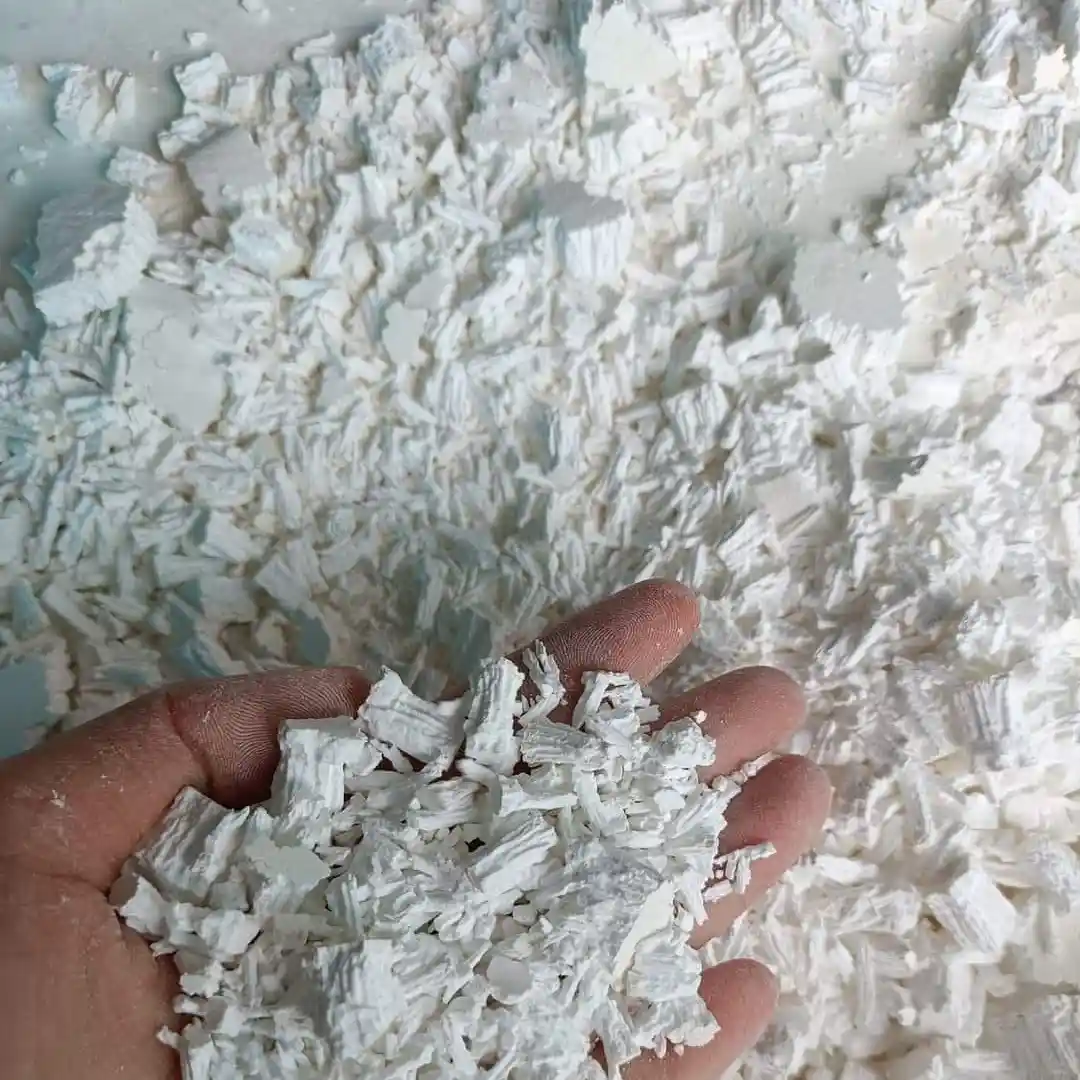 Bột Nấm Ngọc Cầu - Cây Tỏa Dương