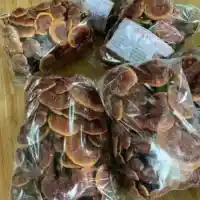 Nấm Lim Xanh Rừng 2